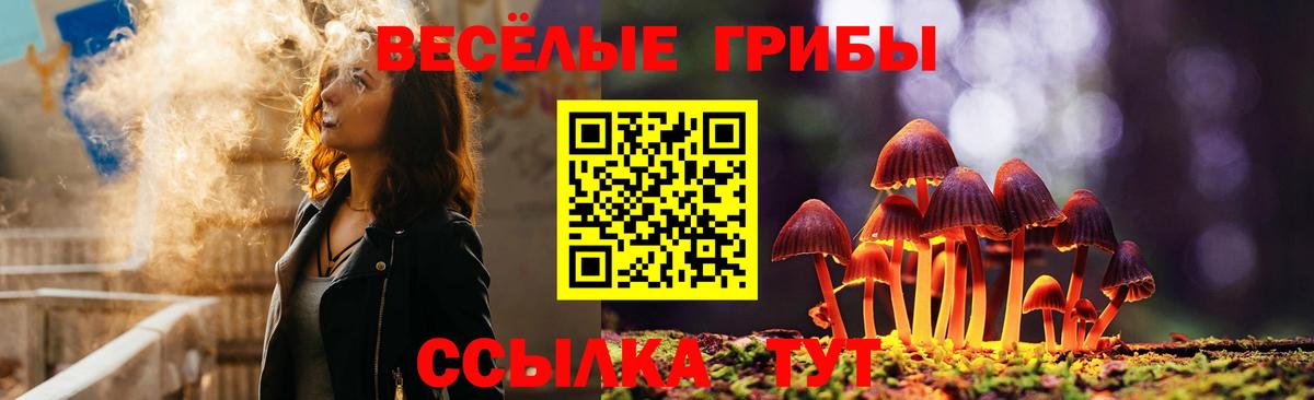 Галлюциногенные грибы Psilocybine cubensis  Вход с VPN  Юрга  Галлюциногенные грибы Cubensis 