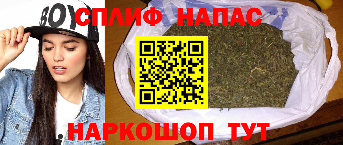 Бошки Шишки White Widow  Бошки Шишки MAZAR  Каннабис THC 21%  Юрга  Вход с VPN 